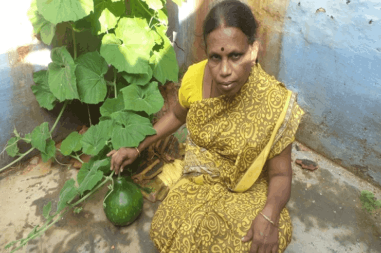 Nutrition and Social Benefits