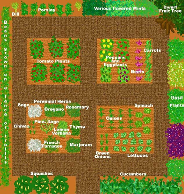 circular economy 